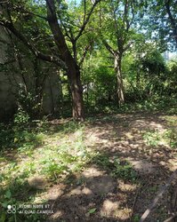 Продаж земельної ділянки під житлову забудову на вул. Бучми, площа 4.5 сотки фото 3 Продаж земельної ділянки під житлову забудову на вул. Бучми, площа 4.5 сотки фото 3