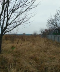 ������ �������� ������ �� ���������� � ��� ������� ���� 1