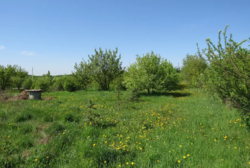 Продаж земельної ділянки комерційного призначення в селі Лука-Мелешківська, Вінницькій області, Коцюбинского улица, площа 214.48 сотки фото 8 Продаж земельної ділянки комерційного призначення в селі Лука-Мелешківська, Вінницькій області, Коцюбинского улица, площа 214.48 сотки фото 8