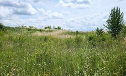 ������ �������� ������ ��������������������� ����������� �� ���. ����쳿 �������������, ����� 10 ����� ���� 2