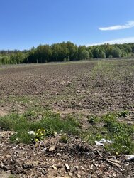 Продаж земельної ділянки сільськогосподарського призначення, на вул. Підлісна, площа 0.1 Га фото 1 Продаж земельної ділянки сільськогосподарського призначення, на вул. Підлісна, площа 0.1 Га фото 1