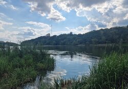 Продаж земельної ділянки під житлову забудову на вул. Крутнів Яр, площа 30 соток фото 8 Продаж земельної ділянки під житлову забудову на вул. Крутнів Яр, площа 30 соток фото 8