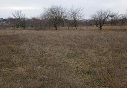 Продаж земельної ділянки під житлову забудову на вул. Грушевського, площа 46.44 сотки фото 2 Продаж земельної ділянки під житлову забудову на вул. Грушевського, площа 46.44 сотки фото 2