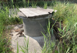 ������ �������� ������ �� ������� �������� �� ���. ������, ����� 11 ����� ���� 2