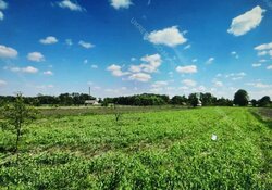 Продаж земельної ділянки під житлову забудову на С. ГАВРИШІВКА, площа 20 соток фото 1 Продаж земельної ділянки під житлову забудову на С. ГАВРИШІВКА, площа 20 соток фото 1