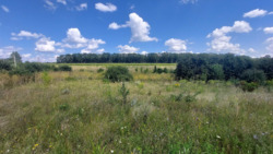 Продаж земельної ділянки, 4.3 га, с. Рівець фото 5 Продаж земельної ділянки, 4.3 га, с. Рівець фото 5