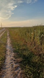 �������� ������ �����������, ( ������ ����) ���� 7