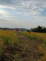 ������ �������� ������, ���. ���������, 6 ����� ���� 1