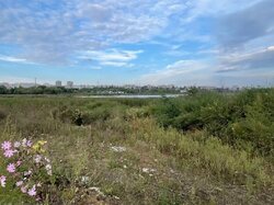 Продаж земельної ділянки під житлову забудову на вул. Джерельна, площа 9 соток фото 3 Продаж земельної ділянки під житлову забудову на вул. Джерельна, площа 9 соток фото 3