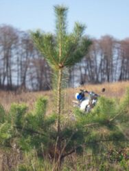 ������ ������, 126 ���., ��������������������� ����������� ���� 4