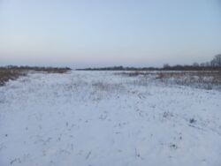 ĳ����� �� �������� �� ³�������� ������� ���� 5