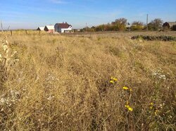 Продаж земельної ділянки під житлову забудову на Стрижавка, площа 5 соток фото 1 Продаж земельної ділянки під житлову забудову на Стрижавка, площа 5 соток фото 1