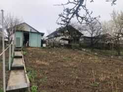 ��������� ������ �������� �������� 79, ������, �����������, ³������� ���� 5