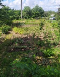     ,   '', ,  0.0501   2