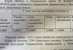 Продаж земельної ділянки сільськогосподарського призначення, площа 8 соток фото 3 Продаж земельної ділянки сільськогосподарського призначення, площа 8 соток фото 3