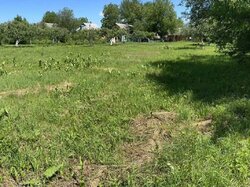 ������ �������� ������ �� ������� ��������, ����� 15 ����� ���� 3