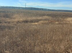 ������ �������� ������ ��������������������� �����������, ����� 12 ����� ���� 1