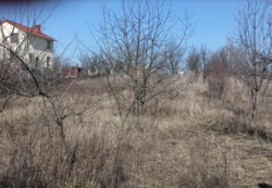 ������ �������� ������ �� ������� �������� �� ���. ���������, ����� 15 ����� ���� 2