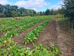 ��������� ������ ³�����, ³�������, ���������, �������� ���� 6