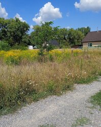 Продаж земельної ділянки під житлову забудову на шосе Гніванське, площа 6 соток фото 5 Продаж земельної ділянки під житлову забудову на шосе Гніванське, площа 6 соток фото 5