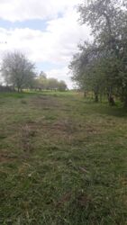 ������ �������� ������ � �������� ³�����, �. �������� ���� 2