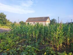 ������ �������� ������ ���� 5