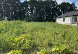 ������ �������� ������ �� ������� �������� �� ����. ������� ��������, ����� 8 ����� ���� 2