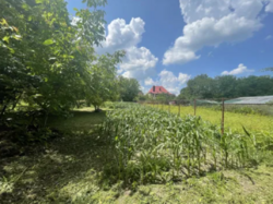 Земельна ділянка з виходом до Південного Бугу фото 1 Земельна ділянка з виходом до Південного Бугу фото 1