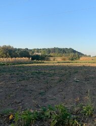     , . , . , 12.64 .  1