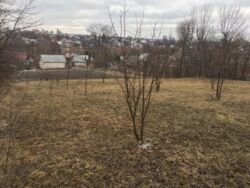 Продається ділянка Вінницька, Вінниця фото 5 Продається ділянка Вінницька, Вінниця фото 5