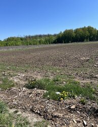 Продаж земельної ділянки сільськогосподарського призначення, на вул. Підлісна, площа 0.1 Га фото 2 Продаж земельної ділянки сільськогосподарського призначення, на вул. Підлісна, площа 0.1 Га фото 2