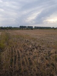 Продаж земельної ділянки під житлову забудову, площа 15 соток, с. Гавришівка фото 1 Продаж земельної ділянки під житлову забудову, площа 15 соток, с. Гавришівка фото 1