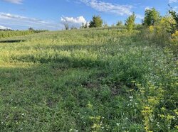 ������ �������� ������ �� ������� ��������, ����� 11 ����� ���� 3