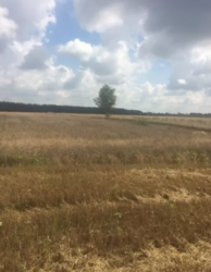 Продаж земельної ділянки комерційного призначення в селі Лука-Мелешківська, Вінницькій області, площа 1 Га фото 3 Продаж земельної ділянки комерційного призначення в селі Лука-Мелешківська, Вінницькій області, площа 1 Га фото 3