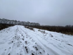 ������ �������� ������ �� ������� ��������, ����� 9 ����� ���� 6