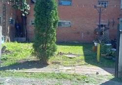 ������ �������� ������ �� ������� �������� �� ���. ����� �������������, ����� 87 ��.� ���� 5