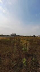 Продаж зем ділянки під житл. забудову, Тяжилів, вул. Вишивана, 5 сот фото 7 Продаж зем ділянки під житл. забудову, Тяжилів, вул. Вишивана, 5 сот фото 7