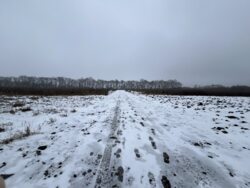 ������ �������� ������ �� ������� ��������, ����� 9 ����� ���� 3