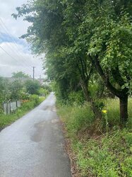 ������ �������� ������ �� ������� �������� �� ���. �������� �������, ����� 5 ����� ���� 2