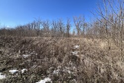 ������ �������� ������, 8 �����, �. �������� ���� 3