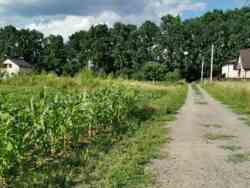 ������ �������� ������ ���� 8