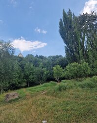 Продаж земельної ділянки під житлову забудову на вул. Крутнів Яр, площа 30 соток фото 5 Продаж земельної ділянки під житлову забудову на вул. Крутнів Яр, площа 30 соток фото 5