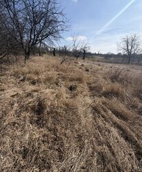 ������ �������� ������ �� ������� ��������, ����� 25.81 ����� ���� 1