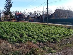 Продаж земельної ділянки під житлову забудову на туп. Шевченка, площа 7.03 сотки фото 2 Продаж земельної ділянки під житлову забудову на туп. Шевченка, площа 7.03 сотки фото 2