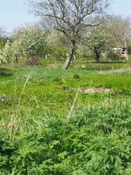 ������ �������� ������ �� ������� �������� �� ���. ��� �������, ����� 15 ����� ���� 2