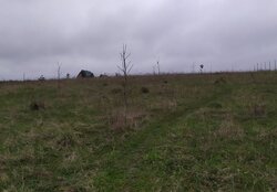 Продаж земельної ділянки сільськогосподарського призначення, площа 9 соток фото 4 Продаж земельної ділянки сільськогосподарського призначення, площа 9 соток фото 4