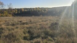 Земельна ділянка 2.5 гектари фото 3 Земельна ділянка 2.5 гектари фото 3