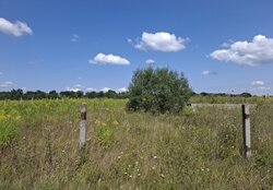 Продаж земельної ділянки під житлову забудову на вул. Прибережна, площа 14 соток фото 2 Продаж земельної ділянки під житлову забудову на вул. Прибережна, площа 14 соток фото 2