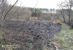 ������ �������� ������ �� ������� �������� � ��� ���������, ³������� ������, �������������� ������, ����� 16 ����� ���� 4