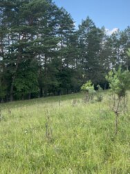 ‑. , ³, ³,      3